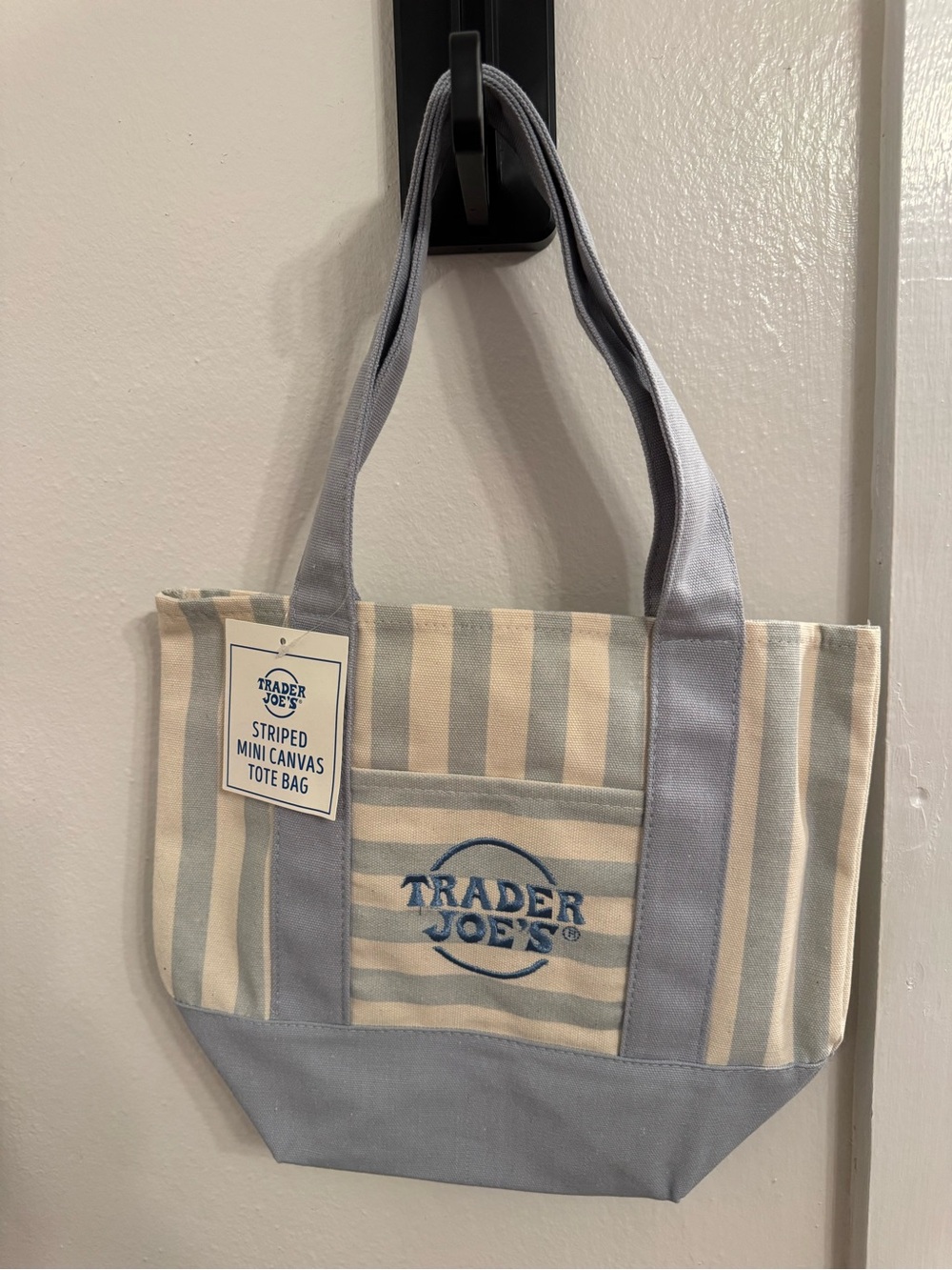 Trader Joe’s Striped Canvas Mini Tote in Light Blue and Cream